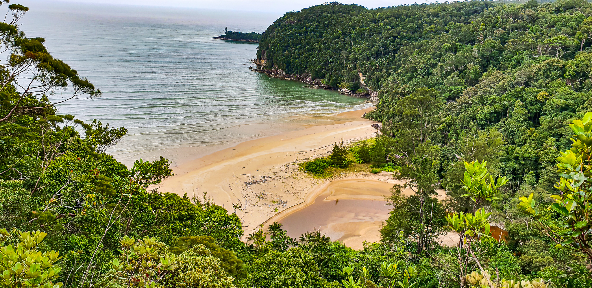 Read more about the article Tips when visiting Bako National Park in Sarawak