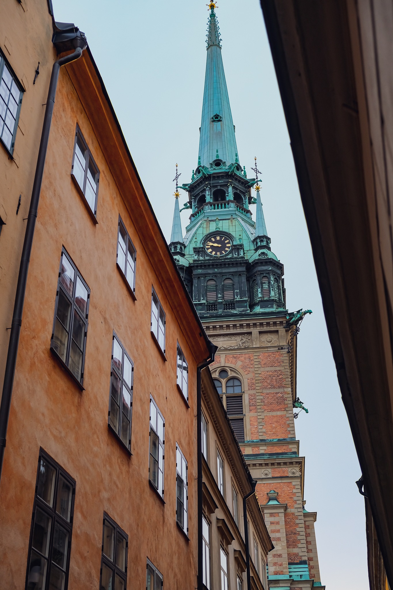 A picture walk through Stockholm - In the worlds jungle