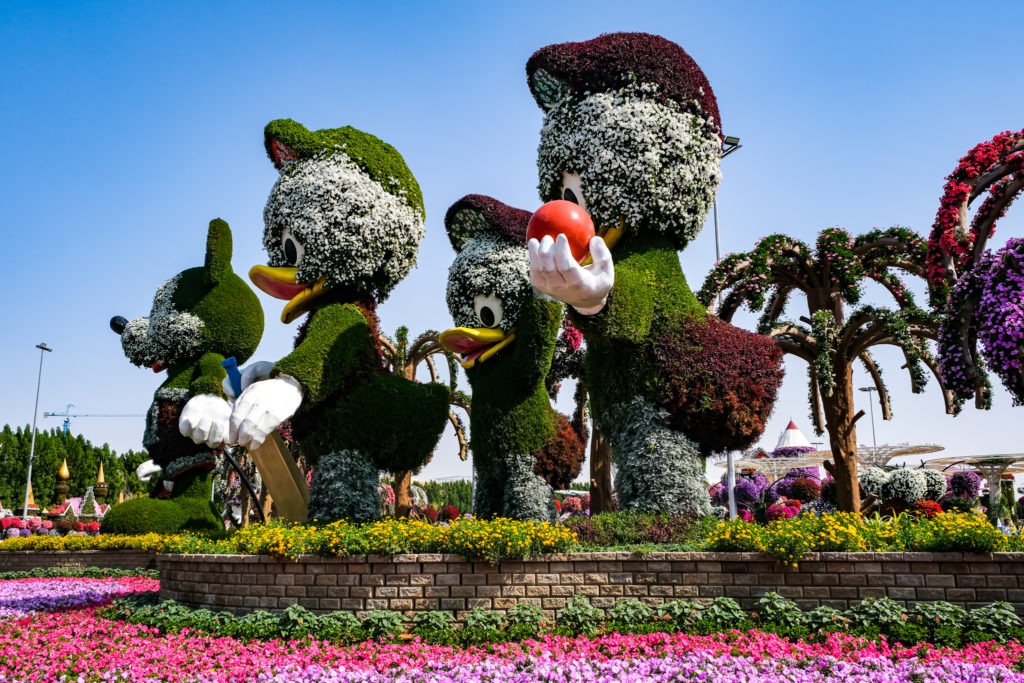 Flowers at the Miracle Garden