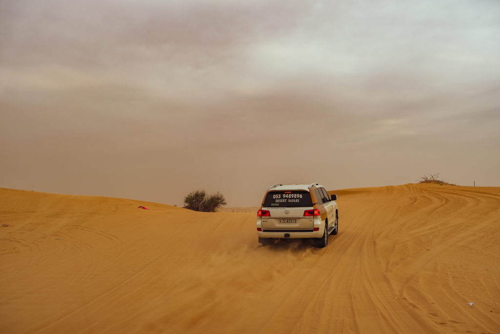 Drive at the Arabian Desert