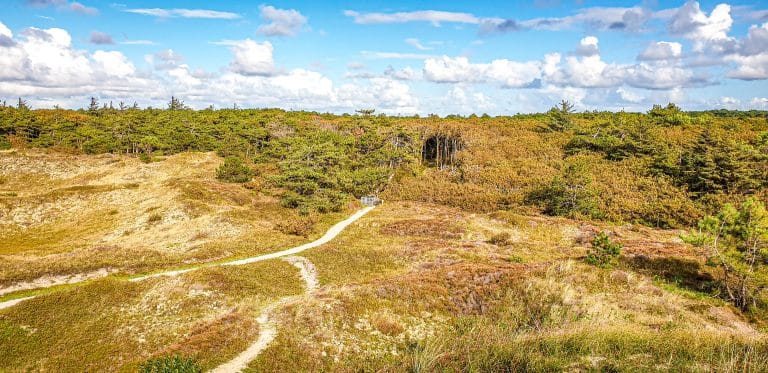 Top things to do on Texel Island nature, beaches & unique Dutch experiences. In the worlds jungle travel blog