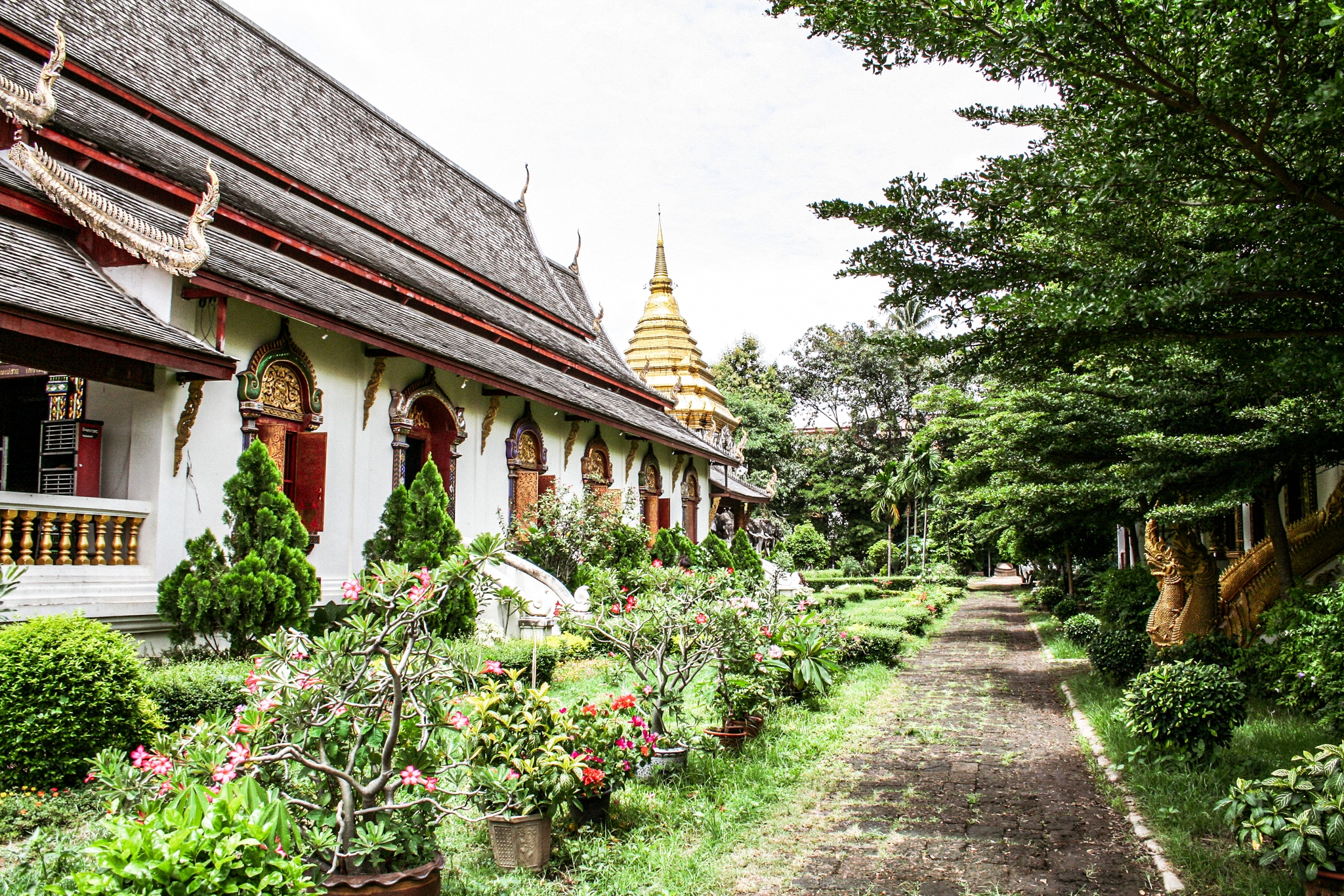 Read more about the article Pictures of the temples in Chiang Mai