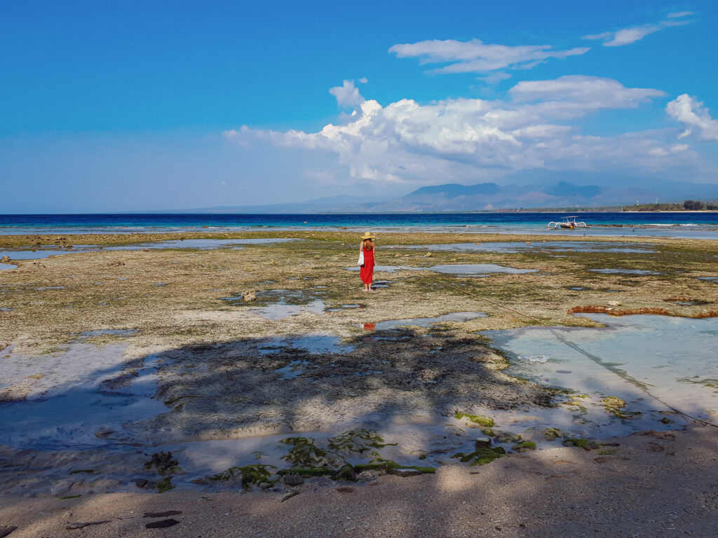 The Bali Sea at Gili Air, In The Worlds Jungle