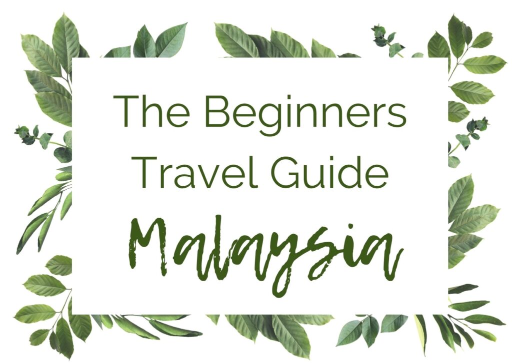 Beginners Travel Guide Malaysia In The World's Jungle (3)