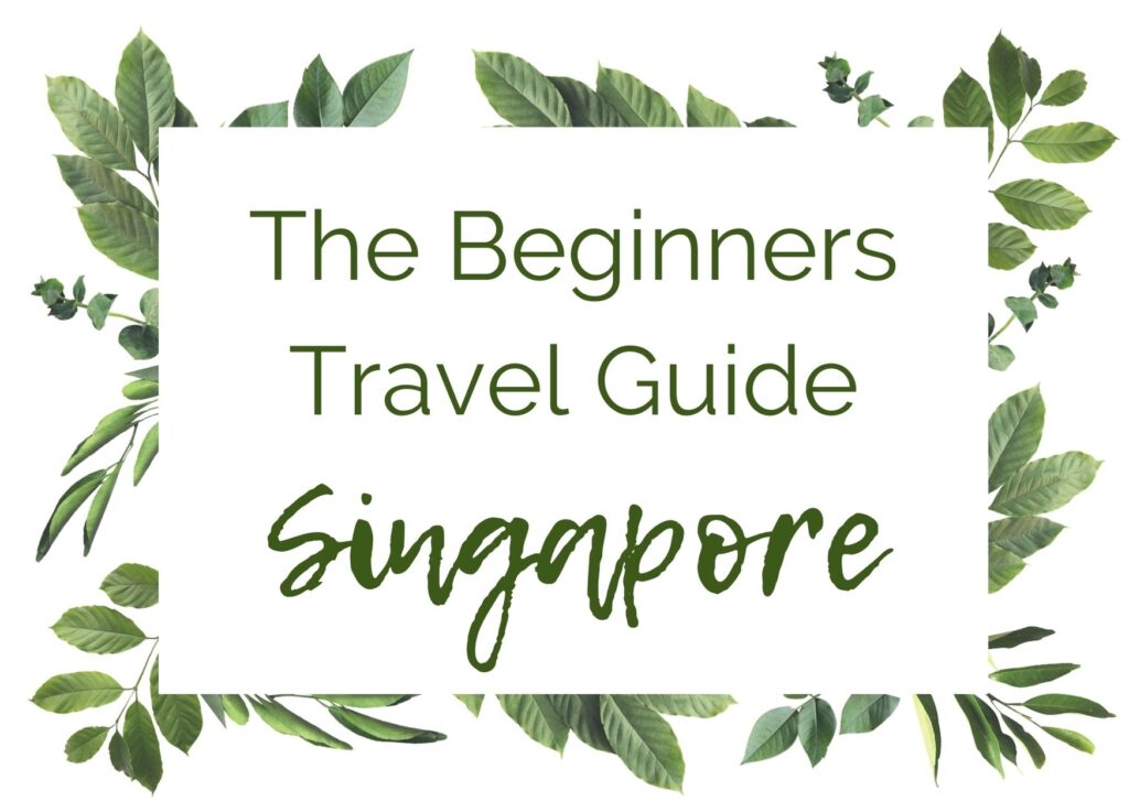 The Beginners Travel Guide Singapore In The World's Jungle (5)