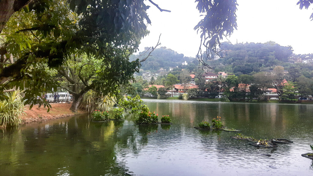 The last royal city of Sri Lanka: Kandy. In The World's Jungle.