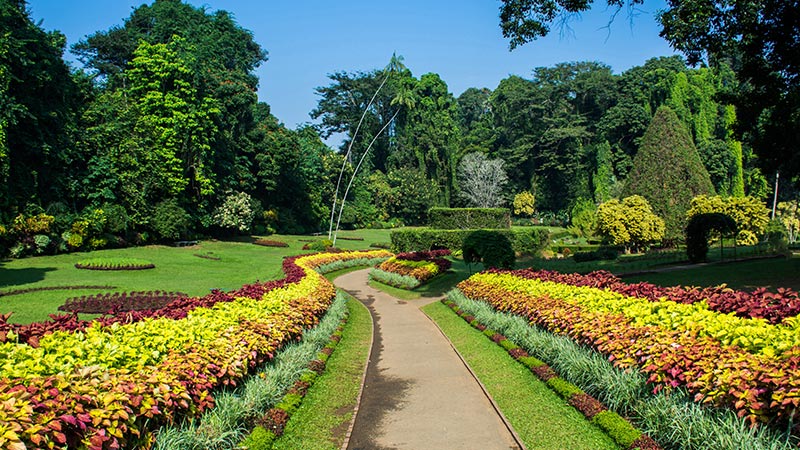Botanical gardens in Kandy, Sri Lanka