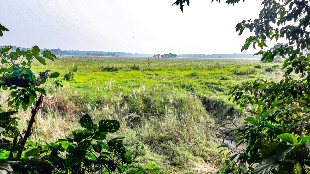 Discover Chitwan National Park in Nepal
