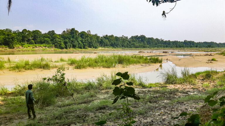 Discover Chitwan National Park in Nepal