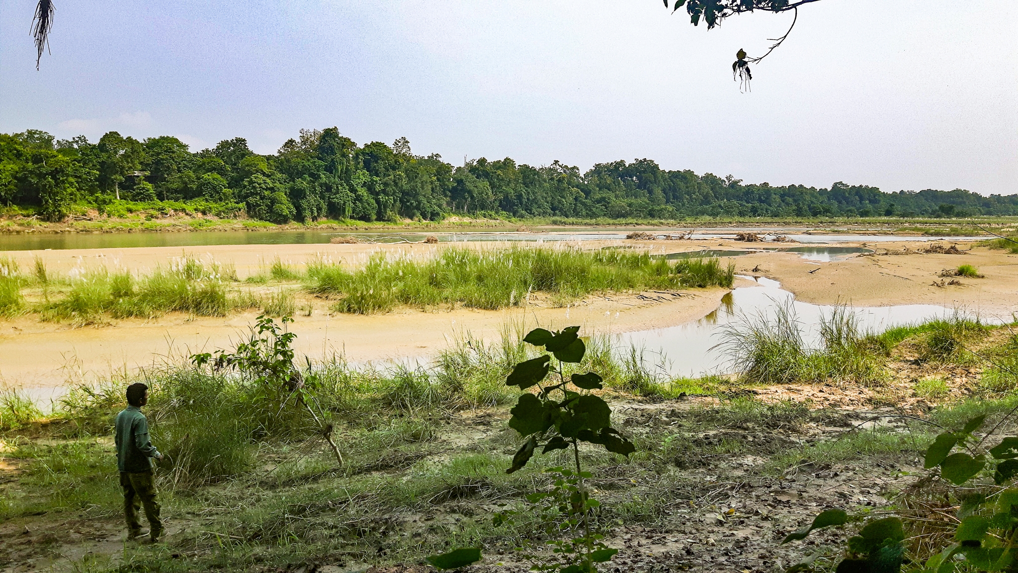 Read more about the article Discover Chitwan National Park in Nepal