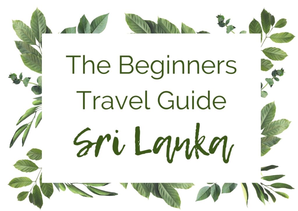 Sri Lanka Beginners Travel Guide In The World's Jungle (4)