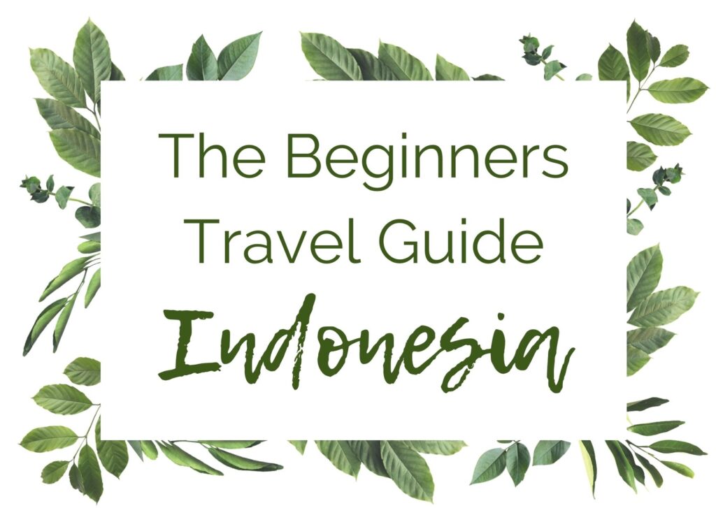 Indonesia Travel Guide In The Worlds Jungle