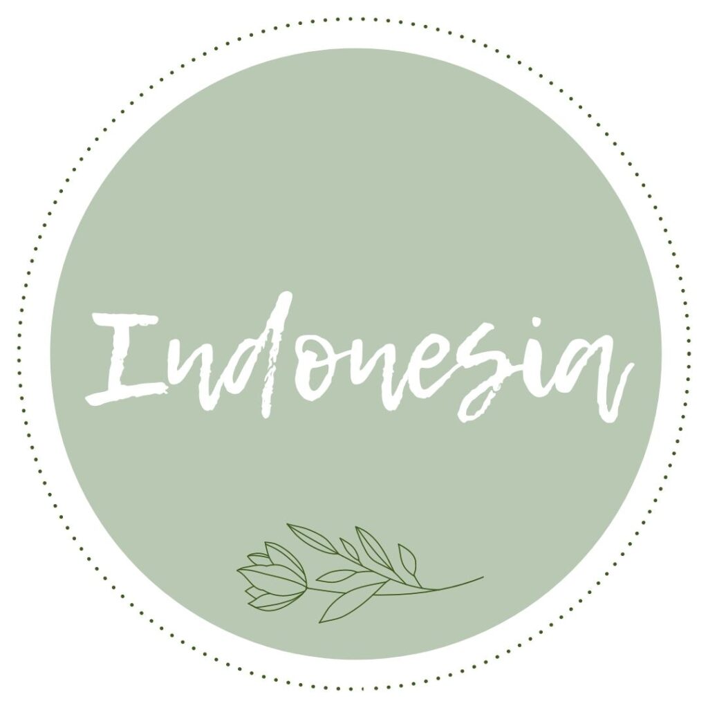 Indonesia Travel Guide In The Worlds Jungle