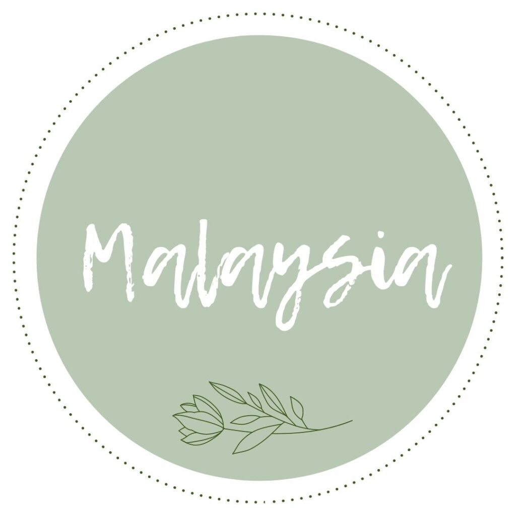 Malaysia Travel Guide In The Worlds Jungle