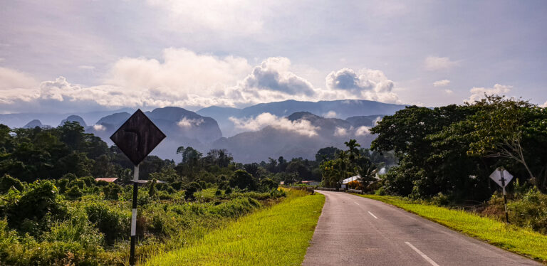 Explore the jungle of Borneo: Mulu National Park