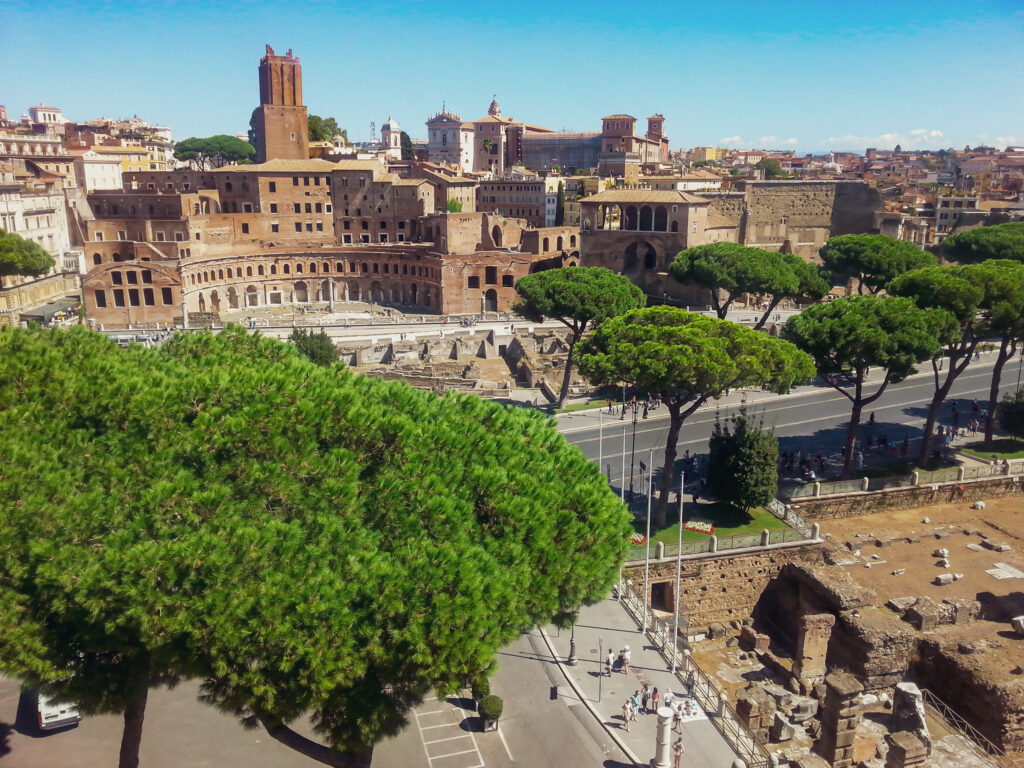 Cityview of Rome, In The World's Jungle