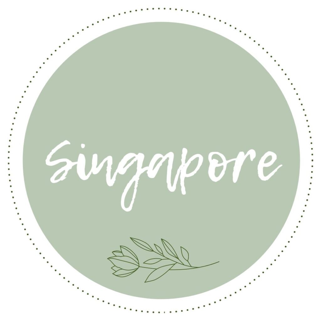 Singapore Travel Guide In The Worlds Jungle