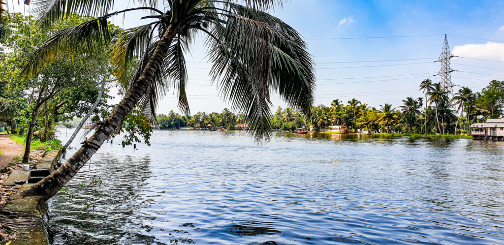 Backwaters of Allepey in Kerala. Virtual picture tour India. In the worlds jungle travel blog.
