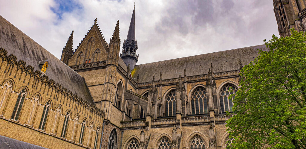 Virtual picture tour of Ieper, In the worlds jungle Travel
