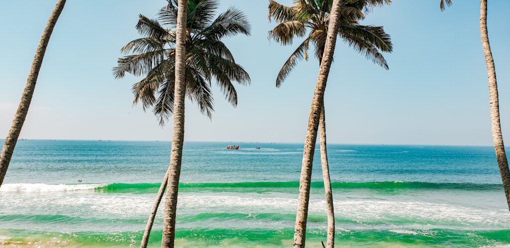 Palmstrees and the ocean at Varkala. The most fascinating festivals and celebrations in India. In the worlds jungle travel.