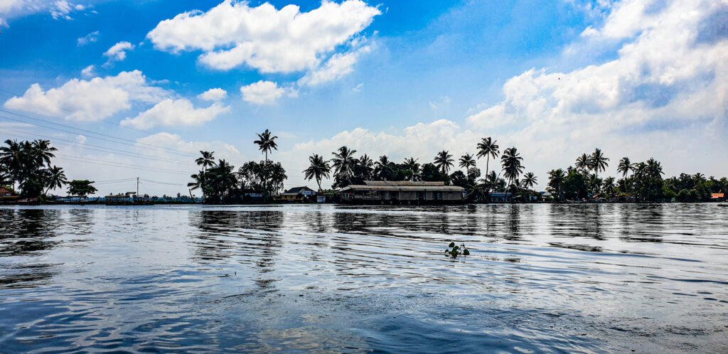 The backwaters of Alleppey in India. In the worlds jungle travel. 