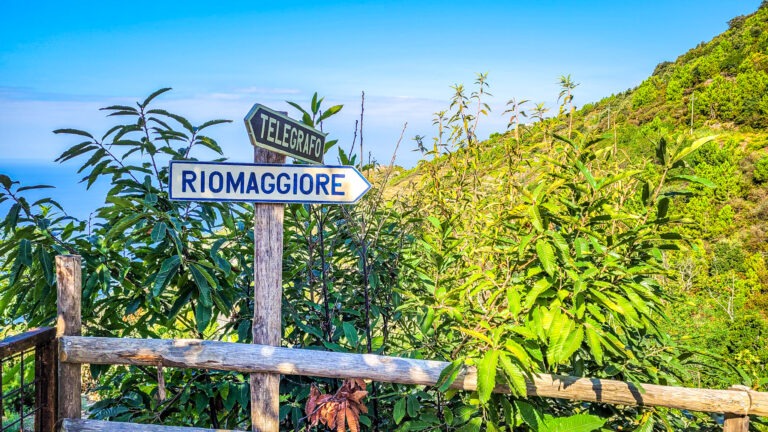 Guide to renting a car in Italy. In the worlds jungle travel.