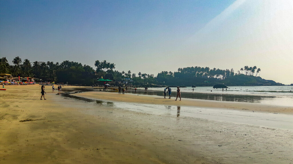 Palolem beach in Goa. In the worlds jungle.