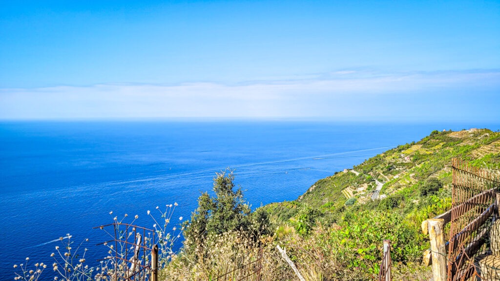 Stunning view of the vineyards in Cinque Terre, Italy. In the worlds jungle.