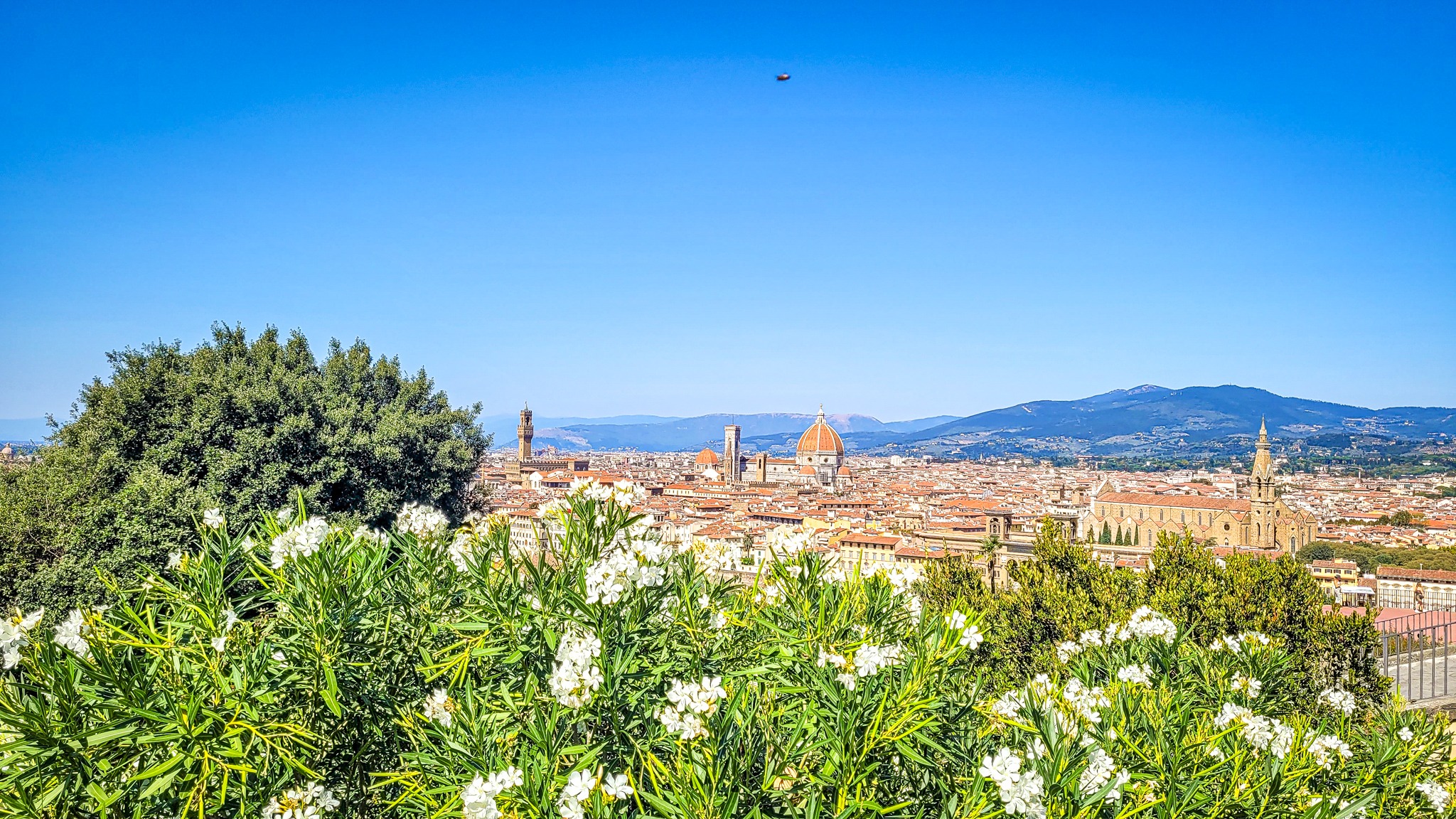 Read more about the article Monumental highlights to visit in Florence