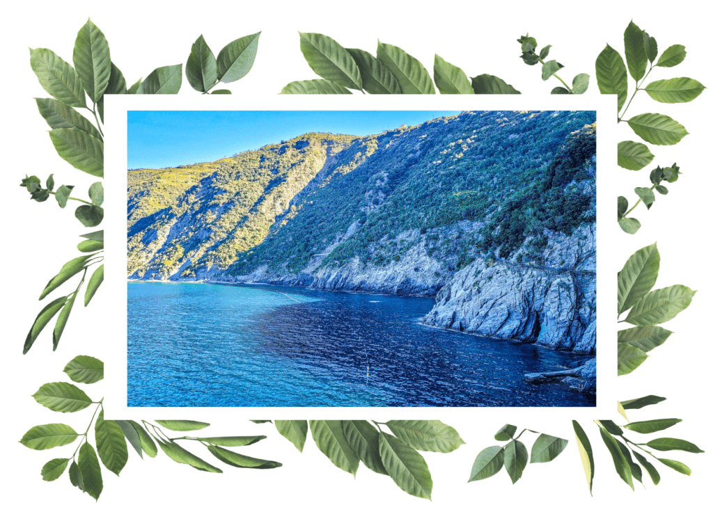 Pristine blue water and green environment of Cinque Terre in Italy. Sustainable travel. In the worlds jungle.