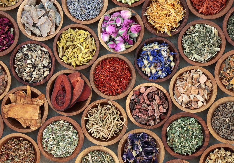 Unlocking the secrets of Ayurveda: A healing tradition from India