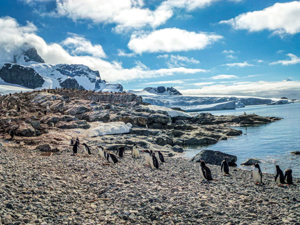The ultimate guide to Antarctica. Written by guest blogger Lydie. In the worlds jungle travel blog (46)