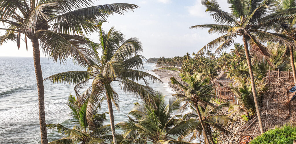 Palm trees and beach in Varkala. How to create an IRCTC account as a foreigner? In the worlds jungle