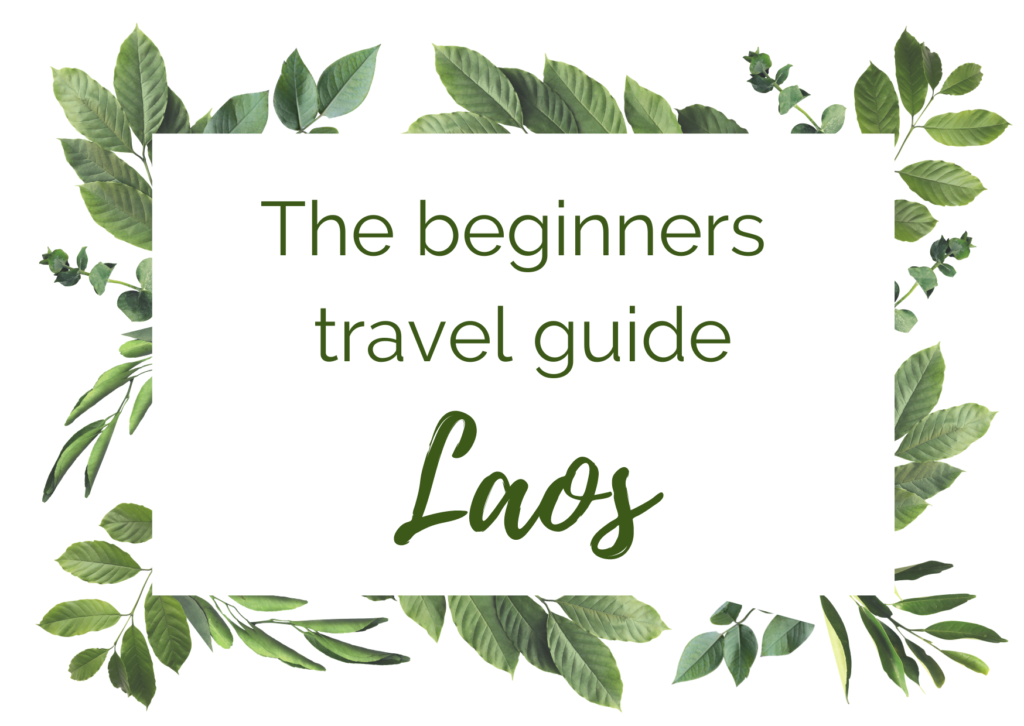 Beginners travel guide Laos, In the worlds jungle