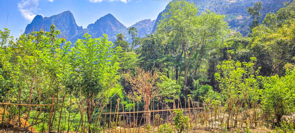 Cultural and natural highlights in Nong Khiaw in Laos. In the worlds jungle travel blog. 