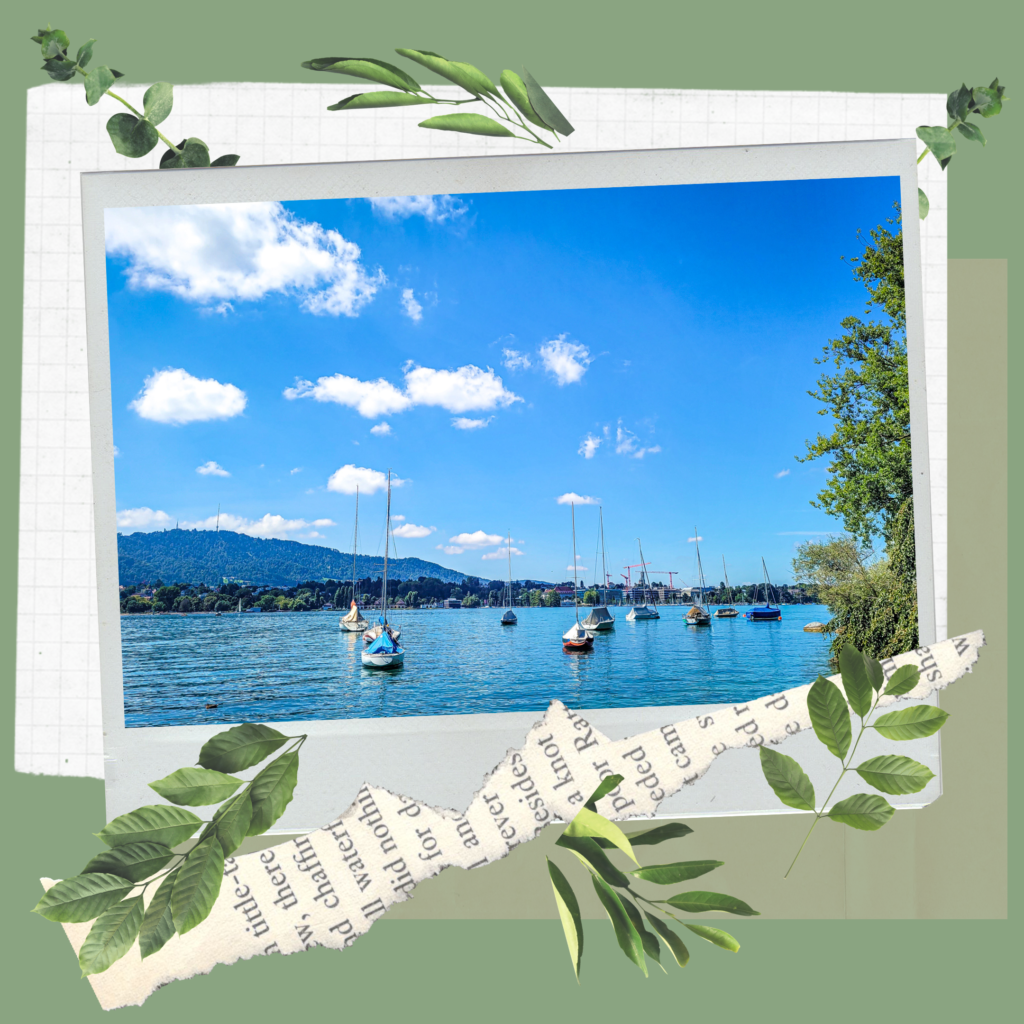 Beginners travel guide Switzerland. In the worlds jungle travel blog (5)