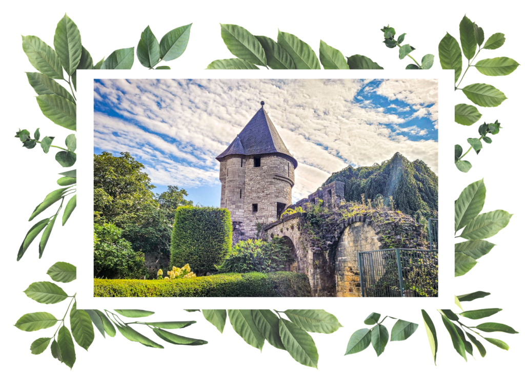 The beginners travel guide of the Netherlands. In the worlds jungle travel blog (2)