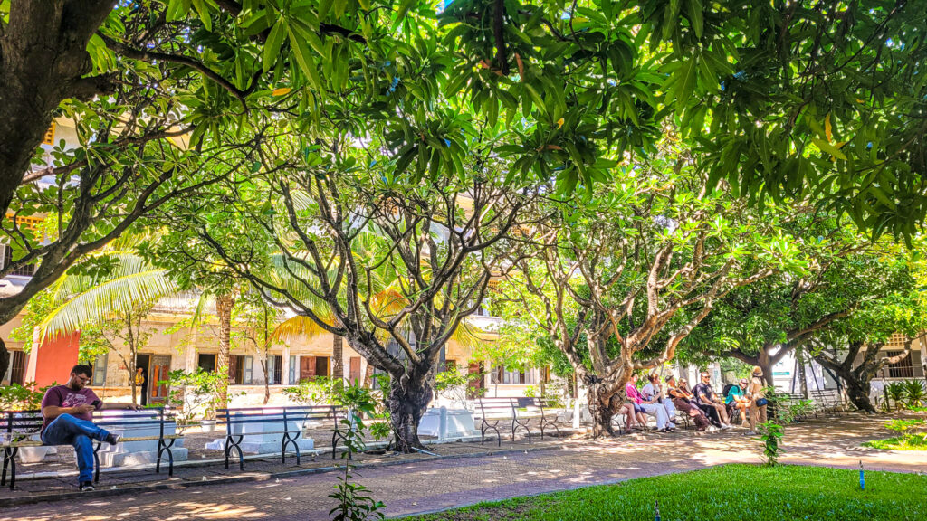 The garden at Tuel Sleng Genocide Museum. Cultural highlights in Phnom Penh. In the worlds jungle.