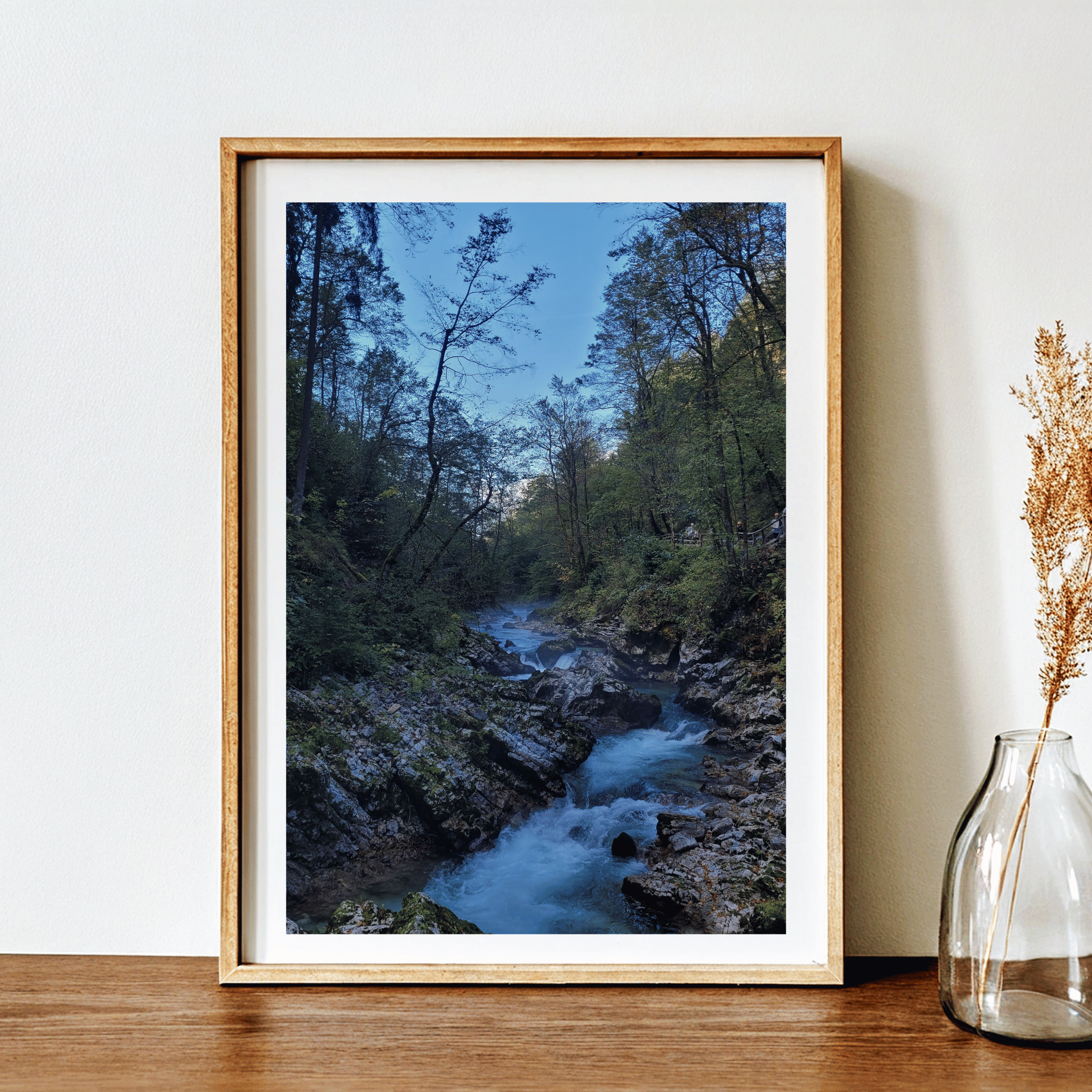 Morning view and cool water at the Vintgar Gorge. In the worlds jungle Travel Prints