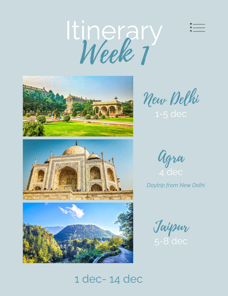 Travel Itinerary India. Adjustable Canva template. In the worlds jungle (51)
