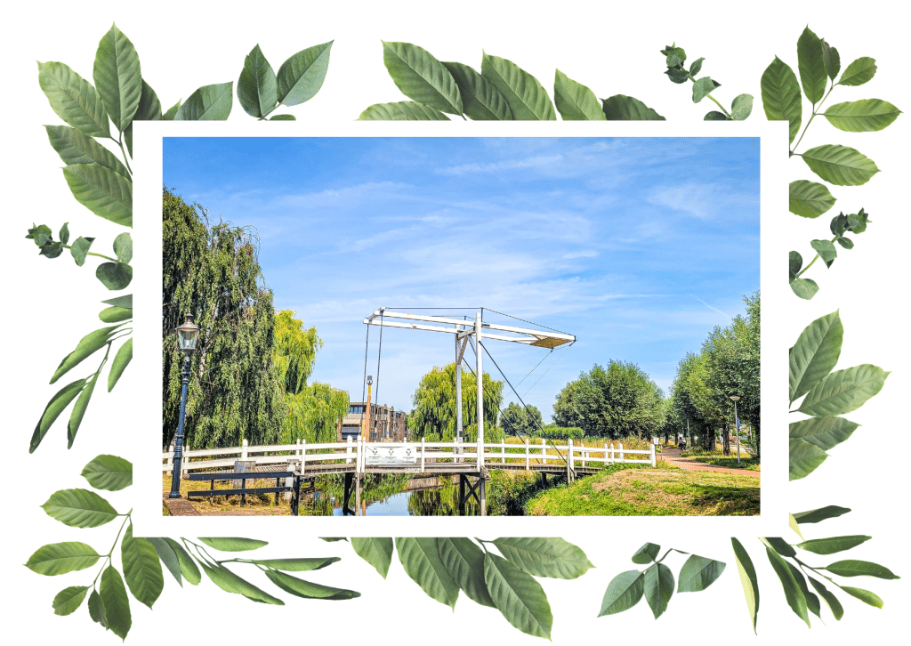 The travel guide of the Netherlands. In the worlds jungle travel blog (2)