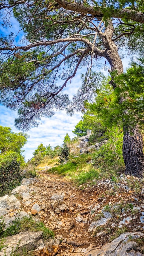 Hiking trail on Hvar island. Hvar Island Itinerary: top sights, beaches, and hidden gems