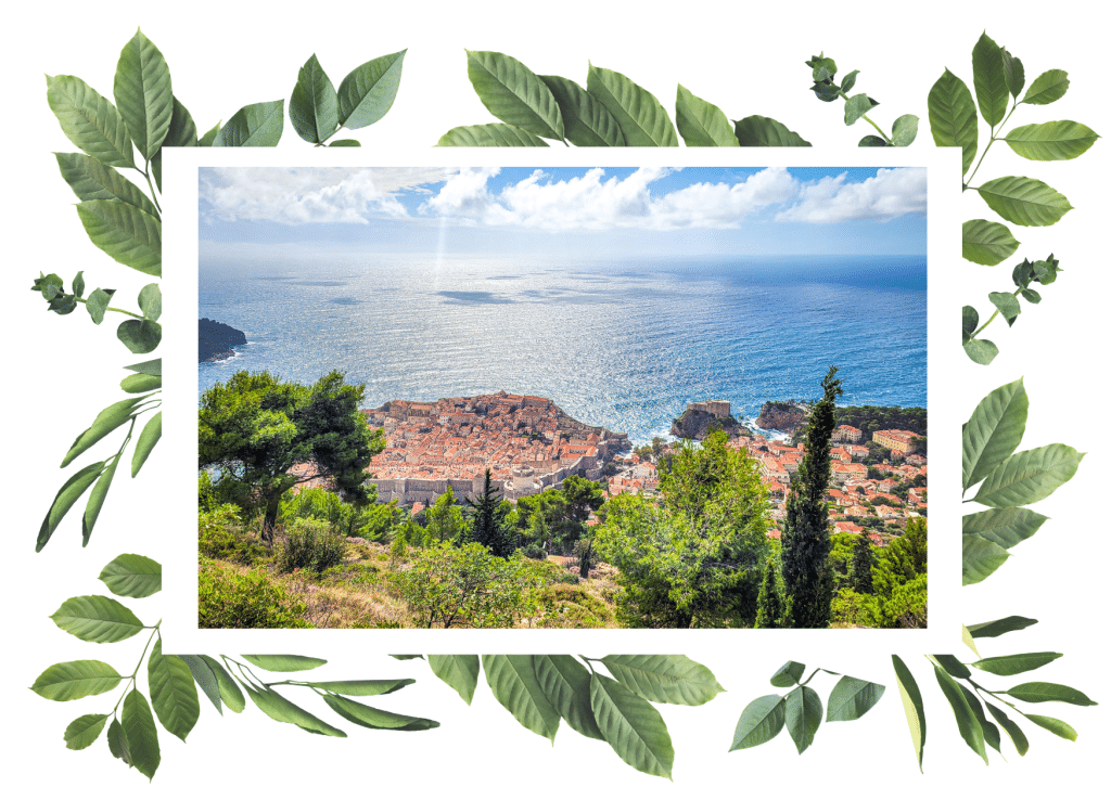 Travel guide Croatie, In the worlds jungle