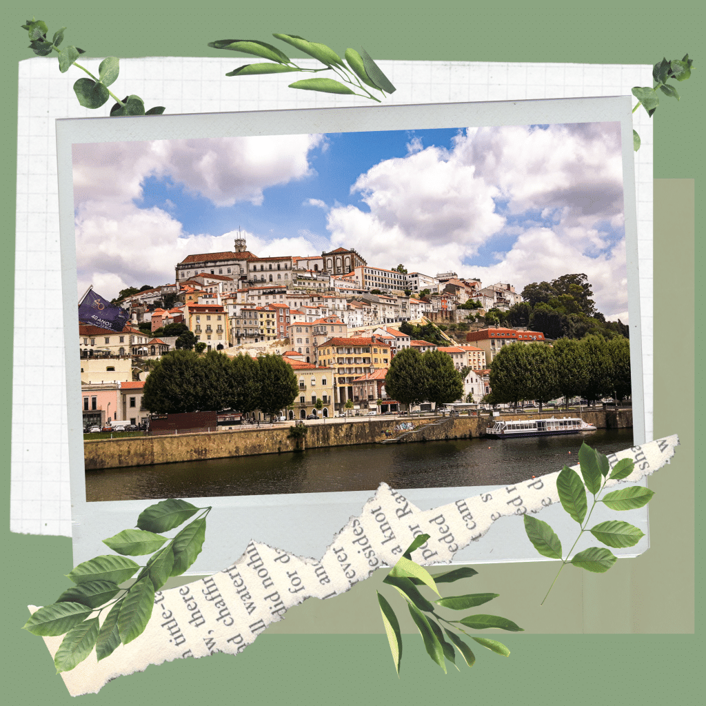 Beginners travel guide Portugal. In the worlds jungle travel blog (5)