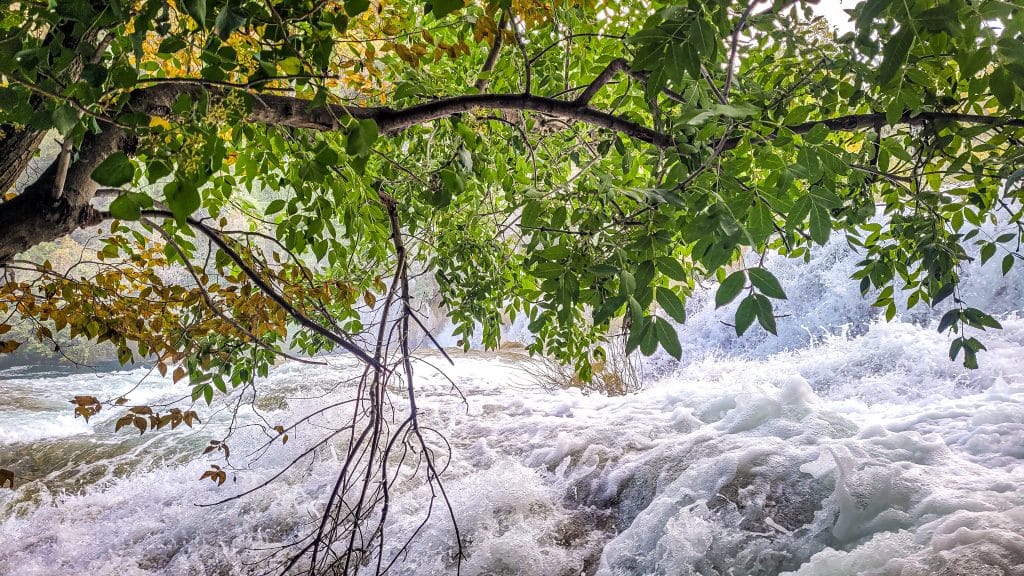 Skradinski Buk with green trees. Krka National Park, Croatia: Complete Visitor Guide to Waterfalls, Trails, and Tickets