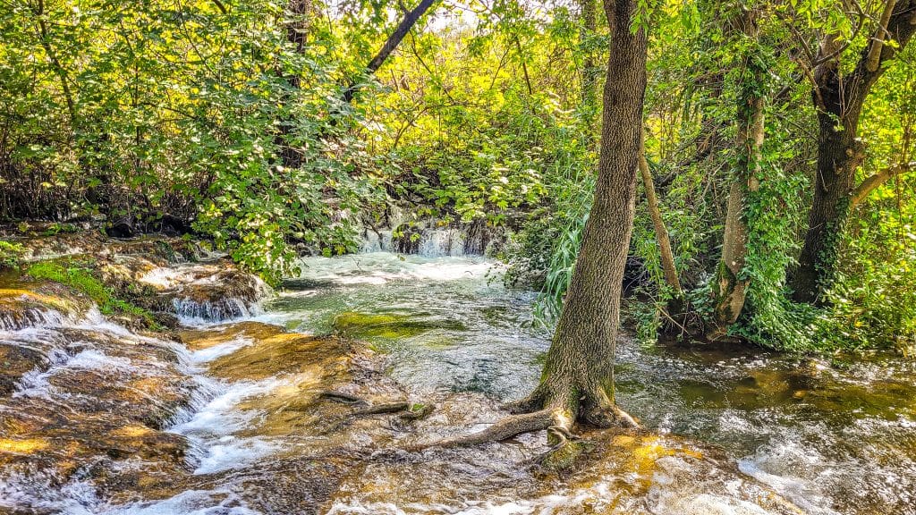 Tree roots in the water. Krka National Park, Croatia: Complete Visitor Guide to Waterfalls, Trails, and Tickets