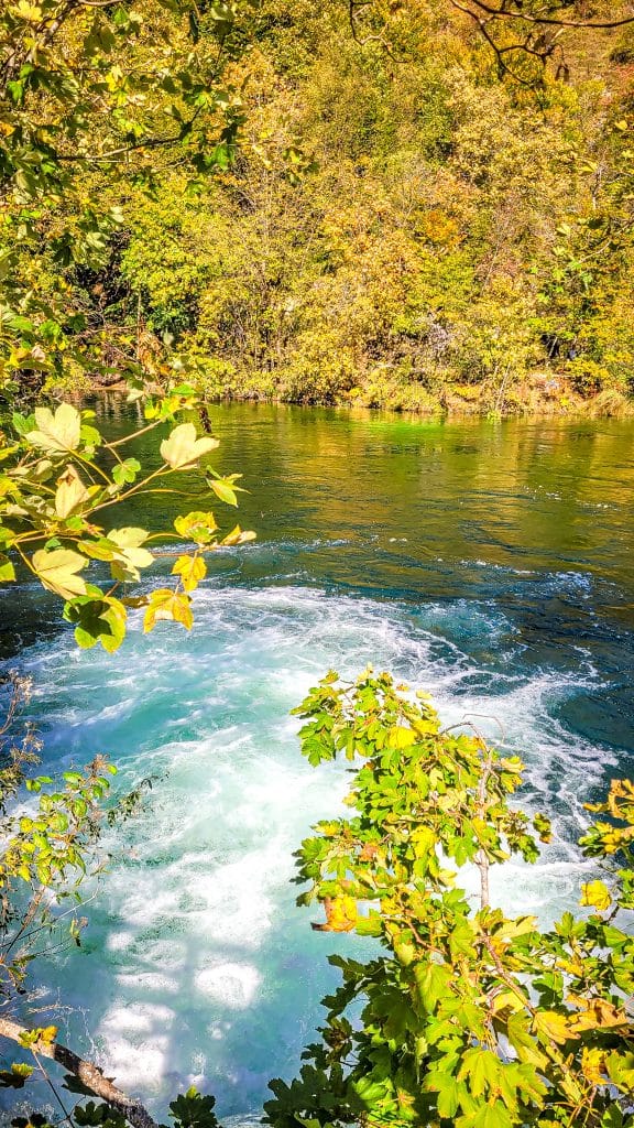 Forest landscape. Visiting Plitvice Lakes: tips, highlights, and where to stay