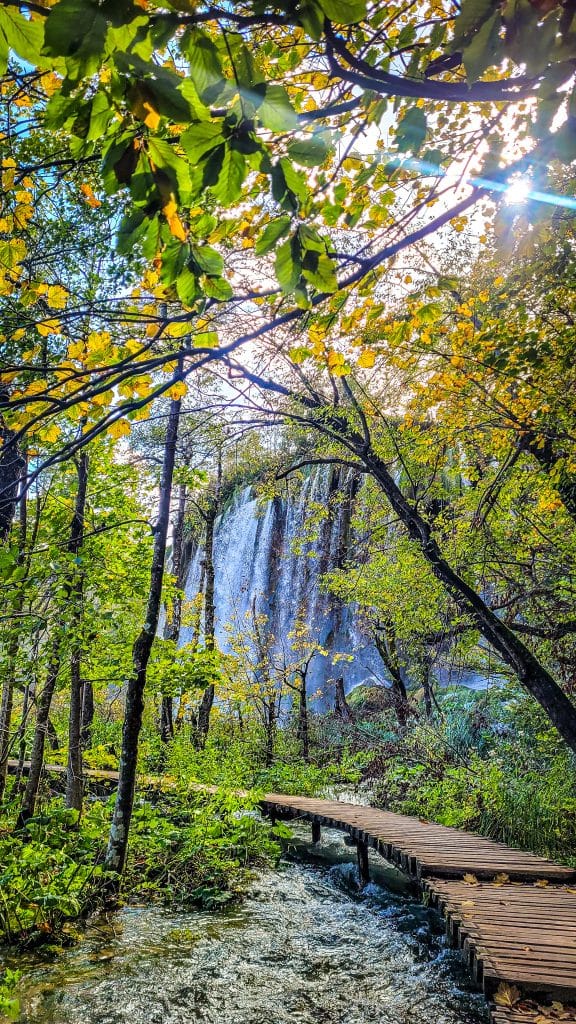 Yellow and green autumn foliage with wooden walkways. Visiting Plitvice Lakes: tips, highlights, and where to stay