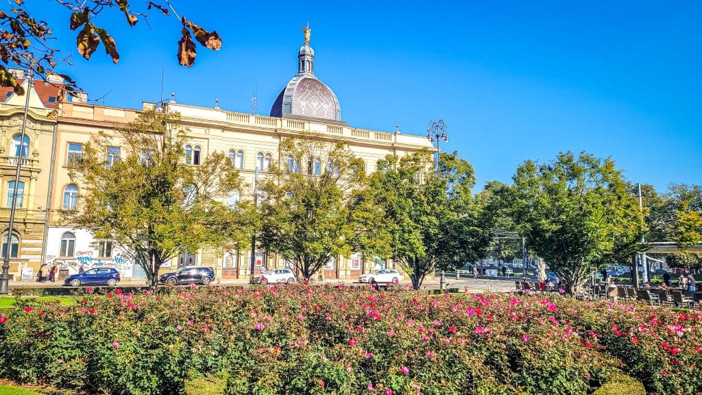 Pink flowers, green trees and blue sky. Zagreb Travel Tips: Best Sights, Day Trips, and Where to Stay