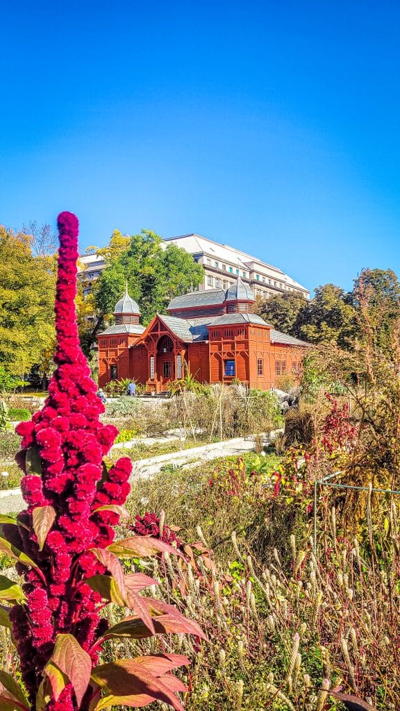 Mysterious red plant at the Botanical gardens in Zagreb. Zagreb Travel Tips: Best Sights, Day Trips, and Where to Stay